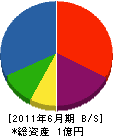 三栄工業 貸借対照表 2011年6月期