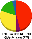 沖津砂利 貸借対照表 2008年12月期