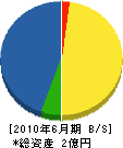 崎元組 貸借対照表 2010年6月期