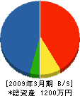 旭洋電業社 貸借対照表 2009年3月期