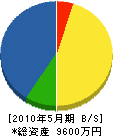 戸塚組 貸借対照表 2010年5月期
