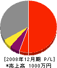 斉藤造園 損益計算書 2008年12月期