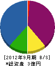金沢電機 貸借対照表 2012年9月期