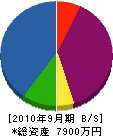 木沢電気工業所 貸借対照表 2010年9月期