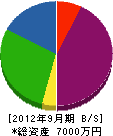 松本工事測量 貸借対照表 2012年9月期