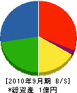 上野土木建設 貸借対照表 2010年9月期