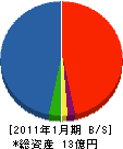 豊開発 貸借対照表 2011年1月期