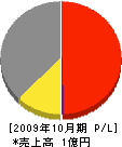 田村組 損益計算書 2009年10月期