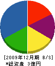 渡辺商事 貸借対照表 2009年12月期