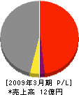 岩田建設 損益計算書 2009年3月期
