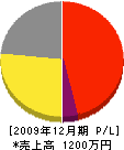 相澤塗装工業 損益計算書 2009年12月期