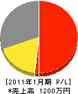 丸兆組 損益計算書 2011年1月期