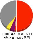 表塗装 損益計算書 2008年12月期