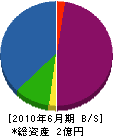 山善 貸借対照表 2010年6月期