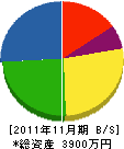 クリーン長野 貸借対照表 2011年11月期