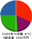 山田電業 貸借対照表 2008年10月期