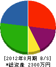 京ヶ瀬電気 貸借対照表 2012年8月期