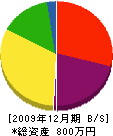 田子建設 貸借対照表 2009年12月期