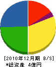 大竹商店 貸借対照表 2010年12月期