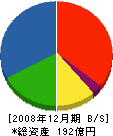 荏原実業 貸借対照表 2008年12月期