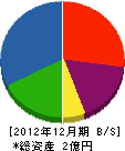 井戸垣産業 貸借対照表 2012年12月期