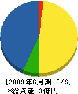 宮崎工務所 貸借対照表 2009年6月期