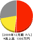 楽山庭園 損益計算書 2009年12月期