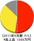 柳井電設工業 損益計算書 2011年9月期