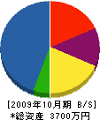 システマテックス 貸借対照表 2009年10月期