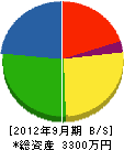 昴工営社 貸借対照表 2012年9月期