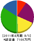 瀬戸内開発 貸借対照表 2011年4月期