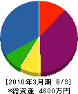 松井電業社 貸借対照表 2010年3月期
