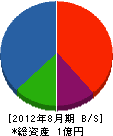 浅井土木建設 貸借対照表 2012年8月期