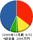 片浜土木工務店 貸借対照表 2009年12月期