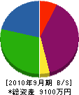 光国電工社 貸借対照表 2010年9月期