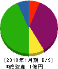 大石企画 貸借対照表 2010年1月期