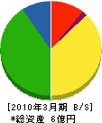 岩田工業所 貸借対照表 2010年3月期
