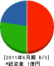 鳰川組 貸借対照表 2011年6月期