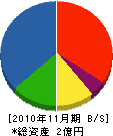 渋谷建設 貸借対照表 2010年11月期
