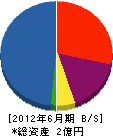 平澤建設工業 貸借対照表 2012年6月期