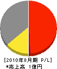 ワトー 損益計算書 2010年8月期 ワトー 損益計算書 2010年8月期