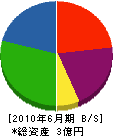 上村工務店 貸借対照表 2010年6月期