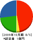 日本スクリーン 貸借対照表 2009年10月期