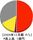 札幌標板製作所 損益計算書 2009年12月期