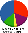 鎌田工業 貸借対照表 2009年3月期