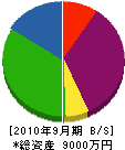 富士工業 貸借対照表 2010年9月期