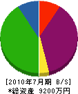 千代田技建 貸借対照表 2010年7月期