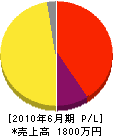 柳田塗装店 損益計算書 2010年6月期