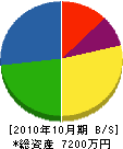 東山電氣 貸借対照表 2010年10月期