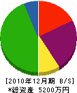 橋本電設 貸借対照表 2010年12月期